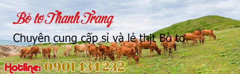 bò tơ củ chi