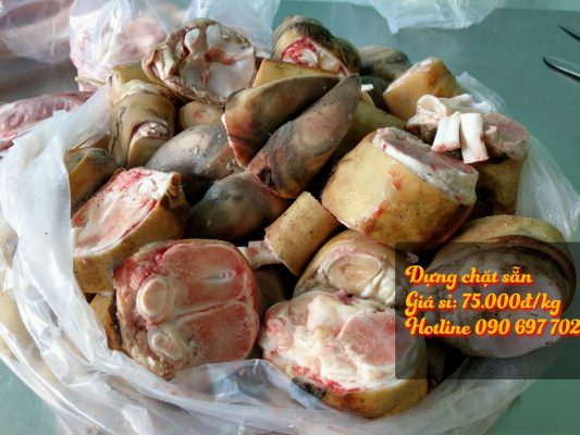 dựng bò tơ củ chi