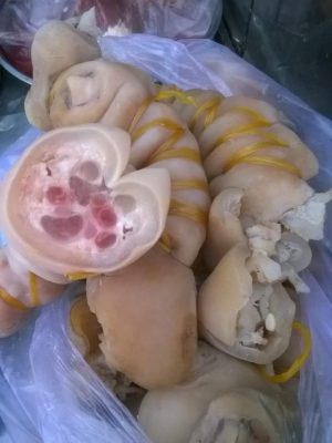 gân cuộn