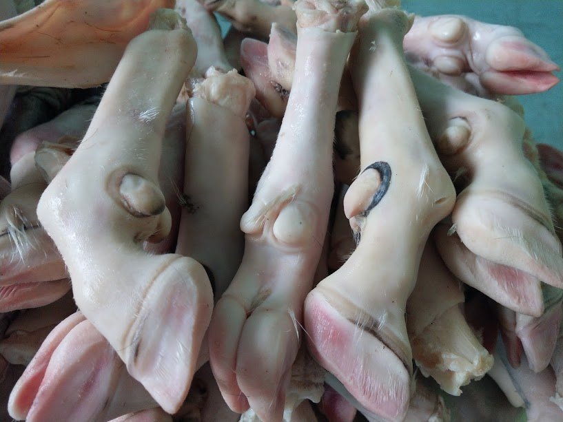 dựng dê