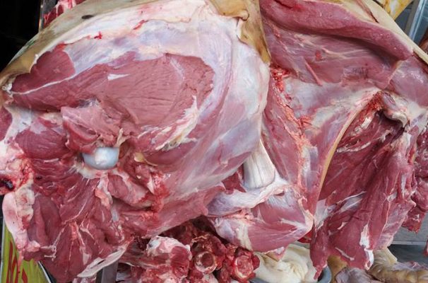 bò tơ củ chi giá sỉ