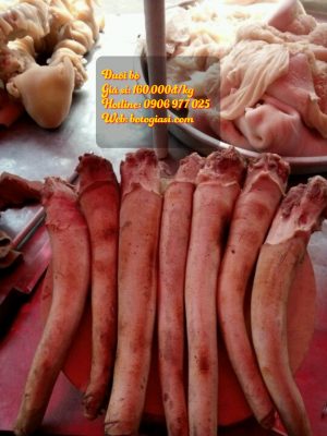 đuôi bò giá sỉ