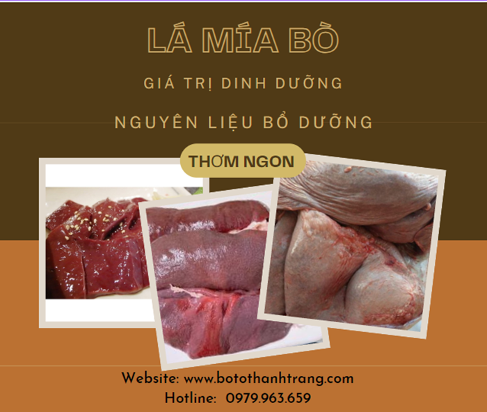 Lá mía bò