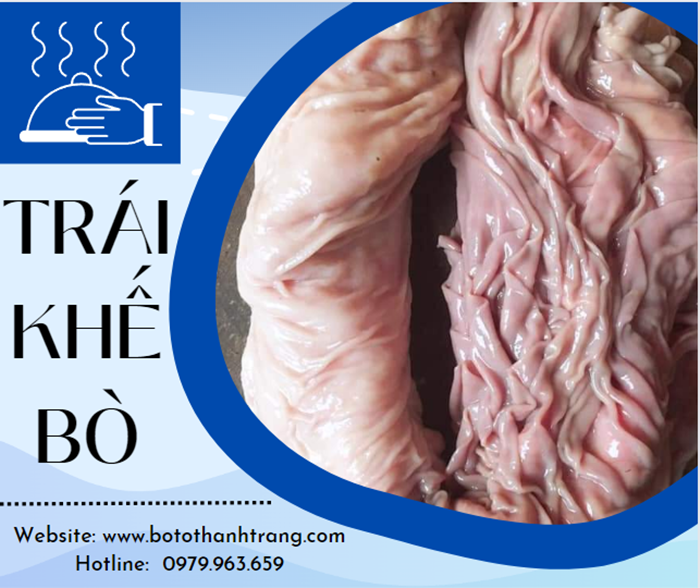 Trái khế bò
