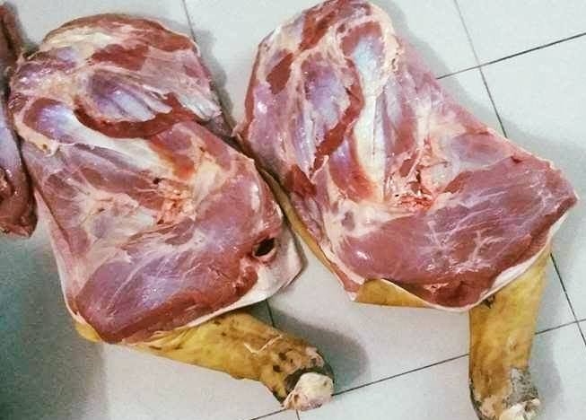 đùi trước nguyên cái