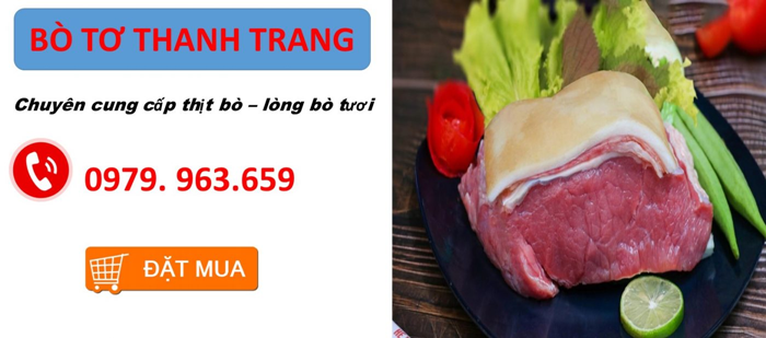 Khăn Lông Bò