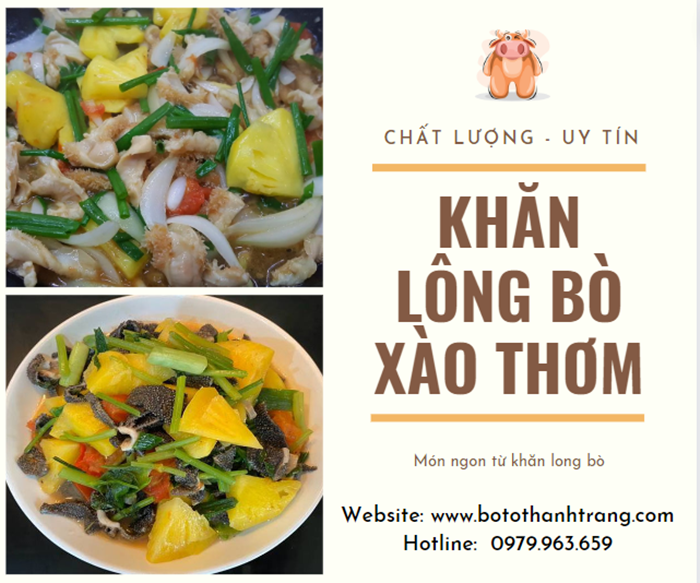 Khăn Lông Bò
